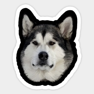 Alaskan Malamute Sticker